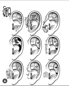 an image of the human ear with different types of ears and their corresponding parts in black and white