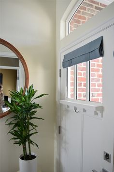 a potted plant sitting on top of a table in front of a mirror next to a door