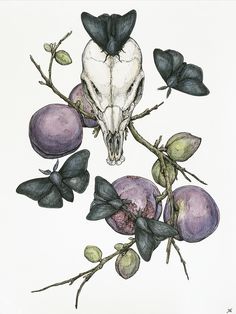 a drawing of a skull on a branch with fruit