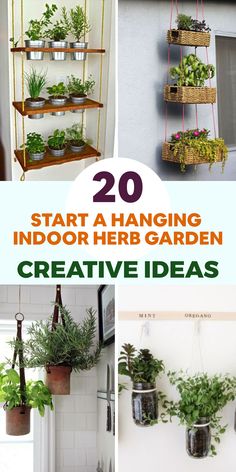 some plants are hanging on the wall and in pots with text that reads 20 start a hanging indoor herb garden creative ideas