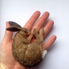 a hand holding a small stuffed animal in it's left palm and the top half of its body