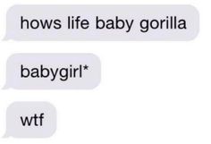 two texts that say, how's life baby gorillaa and baby girl?