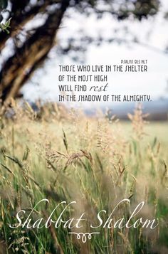 a field with tall grass in the foreground and a quote from shabat shalohn