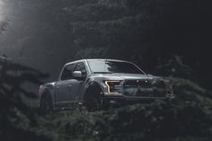 a truck is parked in the woods at night