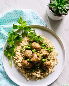 a white plate topped with rice and meat next to a potted plant on top of a table