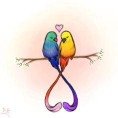 two colorful birds sitting on top of a tree branch with a heart in the background