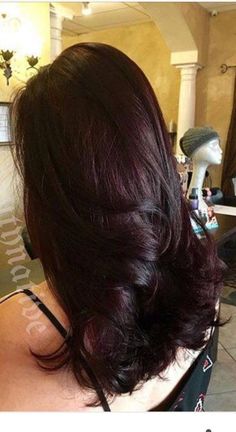 Bold Red Hair, Dark Cherry Hair, Plum Hair