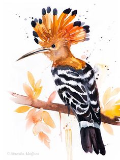 a watercolor painting of a bird on a branch with orange and black feathers, surrounded by flowers