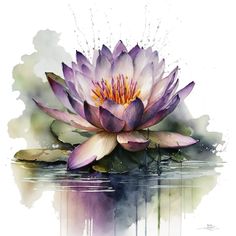 a painting of a purple water lily