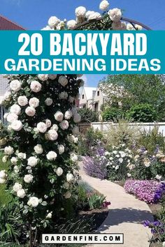 a garden with white roses growing on it and the words, 20 backyard gardening ideas