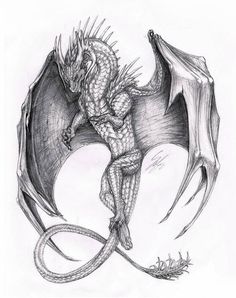 a drawing of a dragon sitting on top of a rock with its wings spread out