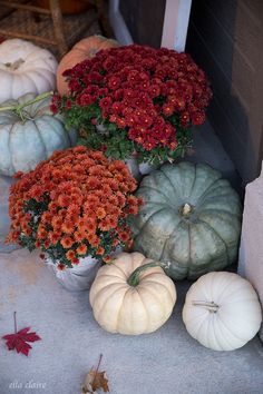 several pumpkins and gourds are sitting on the porch