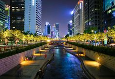 a river running through a city at night