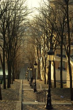 an empty street lined with trees in the middle of winter, and no one is walking on it