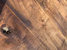 a bird is sitting on top of a piece of wood that has been cut in half