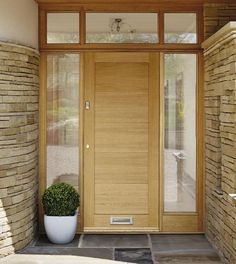 a potted plant sitting in front of a wooden door with glass panes on the side