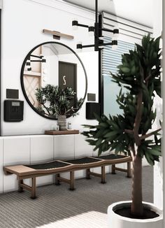 a potted plant sitting next to a wooden bench in front of a round mirror