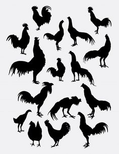 silhouettes of roosters and hens in various poses on a white background illustration