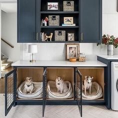 two dogs sitting in their kennels on top of the kitchen counter next to washer and dryer