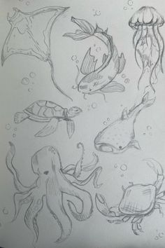 some drawings of different types of sea animals