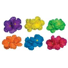 Morris Costumes FF597006 Neon Hair Clips Assorted Costume Size: Standard.  Color: Multicolor.  Gender: unisex.  Age Group: adult. Dipped Hair, Dip Dye Hair, Neon Hair, Neon Flowers, Turquoise Hair, Violet Hair, Bright Hair Colors, Bright Hair, Funny Fashion