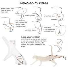 how to draw a cat step by step instructions for beginners and advanced drawing students