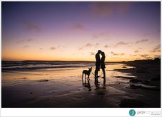 a man and woman are standing on the beach with their dog as the sun sets