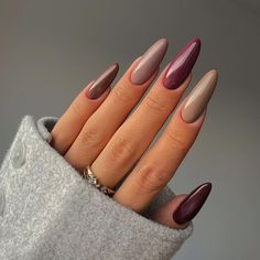 brown fall nails Simple Fall Nails, Fall Nail Trends, Nail Colors Winter, Thanksgiving Nails, Fall Nail Colors, Brown Nails, Classy Nails, Chic Nails, Nails Inspo