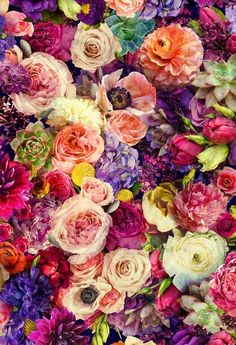 an image of colorful flowers that are in the middle of a wallpaper pattern with many different colors and sizes