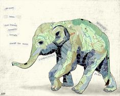 an elephant with words all over it's body and its trunk in the shape of a map