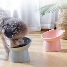 a dog drinking out of a bowl on the floor next to a potted plant