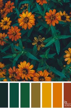 the color scheme is orange and yellow with green leaves on it, including an assortment of flowers