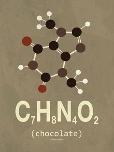 the chemical symbol for chno2 is depicted on a poster that reads, chocolate