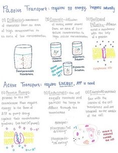 a poster describing the different types of energy and how they can be used to make it