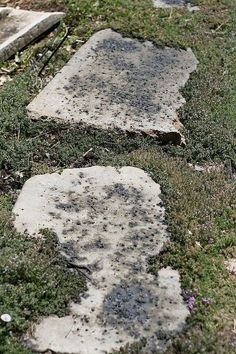 two stepping stones in the grass with dirt on them