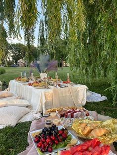 an outdoor picnic with food and drinks on the grass