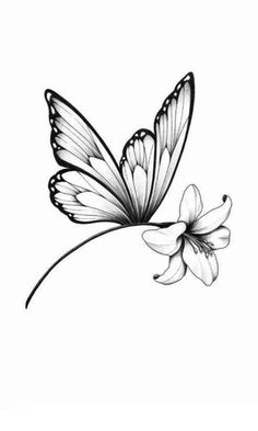 a black and white drawing of a butterfly on a flower