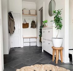 a bathroom with a potted plant on the floor