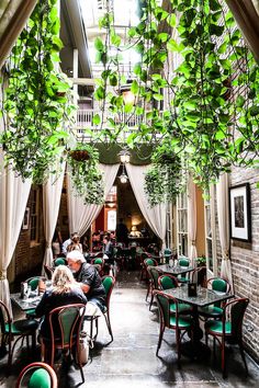 people sitting at tables in a restaurant with hanging plants