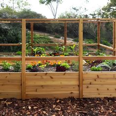 a wooden garden box with plants growing in it