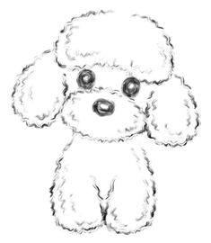 a drawing of a poodle sitting down