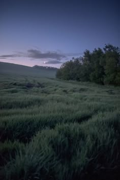 an empty field with trees in the distance