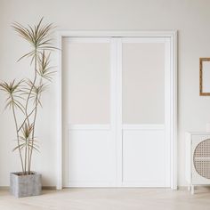 an empty room with a potted plant in the corner and two white doors on the wall