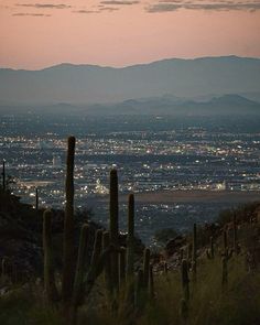 the desert is lit up at night with mountains in the distance and cactus bushes on the ground