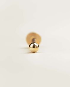 18k Gold Tiny Ball Flat Back Earrings | Assolari Gold Cartilage Earrings, Tragus Piercing Jewelry, Pretty Ear Piercings, Barbell Earrings, Conch Earring, Tragus Piercing, Cartilage Earrings Hoop, Flat Back Earrings, 18k Gold Earrings