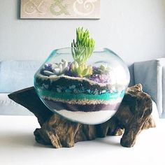 a glass bowl filled with plants on top of a wooden stump next to a couch