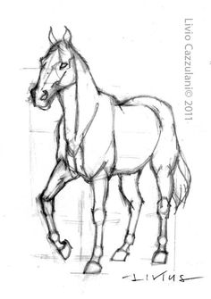 a pencil drawing of a horse standing on one leg