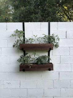 two wooden shelves with plants on them against a white brick wall