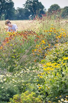 a woman is standing in the middle of a field with wildflowers and grasses