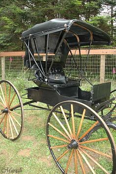 an old fashioned buggy is parked in the grass